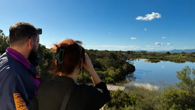 Albufera Natural Park Excursion - Half-Day Tour from Cruise Terminal