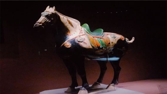 LuoyangTours