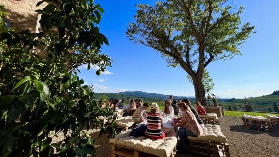 Chianti: Day Trip from Florence + Wine Tour & Tasting