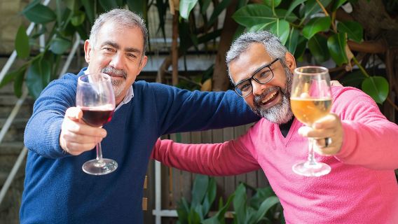 Top 3 Cape Town Wineries Half Day Private Tour