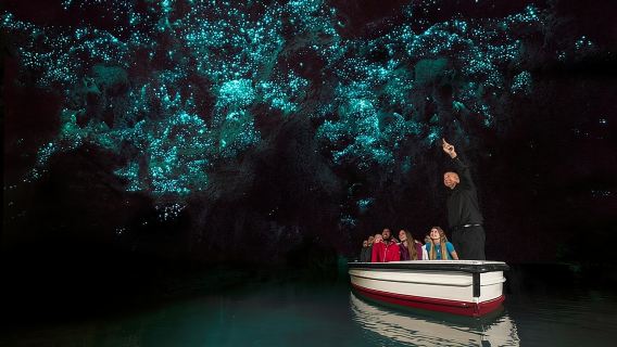 AucklandTours