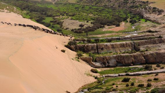 Walk between Argan Forest, Ocean & Waterfalls. 12 km
