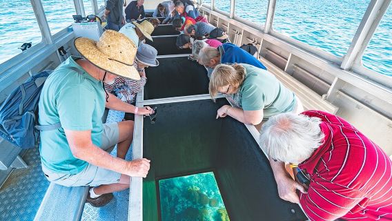 Lawatan Bot Bawah Kaca Pulau Keppel yang Hebat & Pemindahan Feri