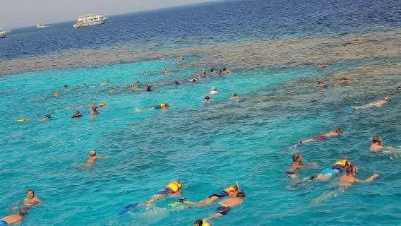 이집트 홍해 당일 치기 여행, 홍해 크루즈, 훌라섬 스노클링, 산호 낚시, 커플의 즐거움