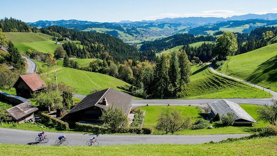 Bern capital and countryside tour from Lucerne