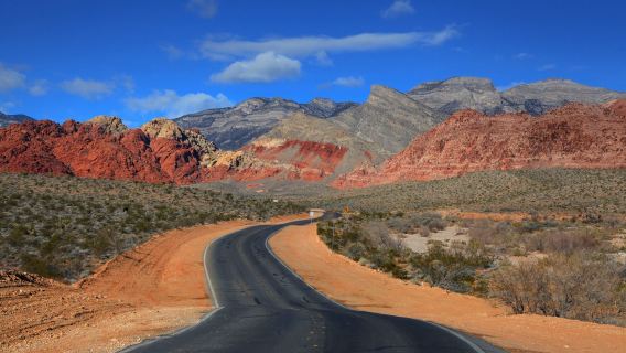 美國+洛杉磯國際機場+接機|送機服務+普通話包車可訂製行程