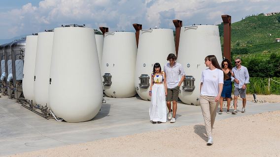 ชิม Prosecco อาหารเรียกน้ำย่อย และทัวร์ชมห้องเก็บไวน์และไร่องุ่น