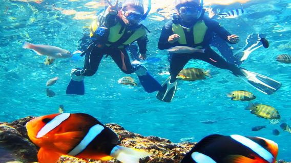 日本沖縄慶良間諸島体験ダイビング・シュノーケリング2時間【慶良間諸島半日ツアー|那覇市内でのお迎え|無料の電子写真|複数オプションをご用意しております】