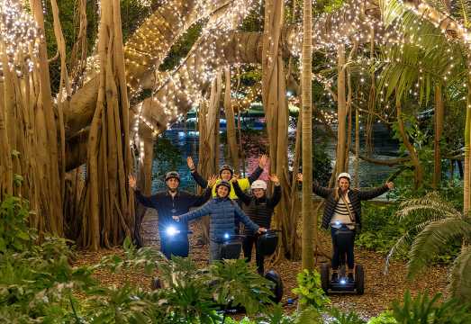 Brisbane Segway Sightseeing Tour AUD 131.36