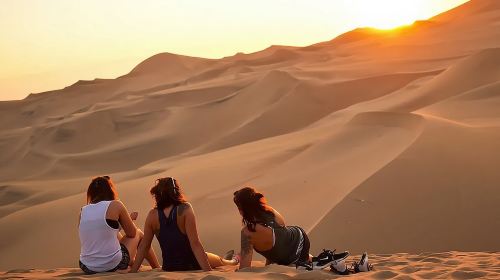 Dubai Morning Safari with 25 Mints Camel ride & Sand Boarding 6