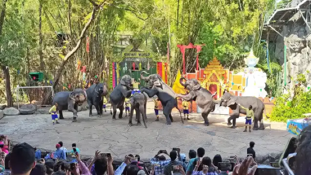 特價活動◆專車接送◆包含門票◆曼谷野生動物世界包車遊