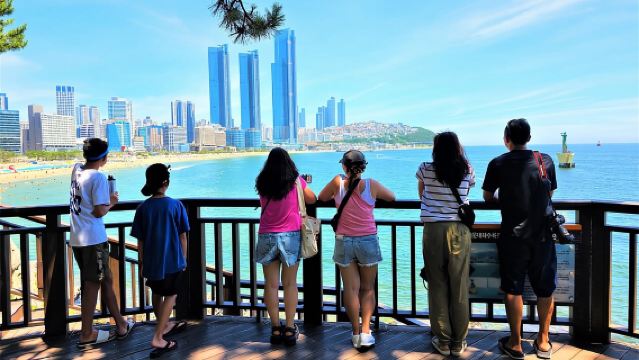 소규모 부산 종일 투어 (최대 6인)