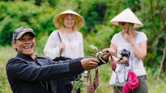 Countryside Cycling & Farming experience in Thanh Toan