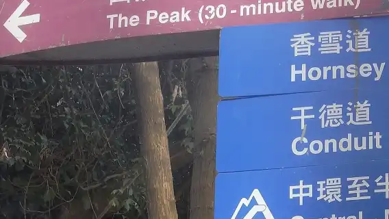 Victoria Peak: Climb to the summit via the Mid-Levels escalato on an audio tour