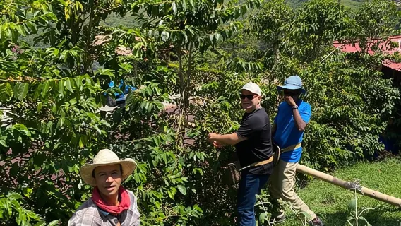 Dari Medellín: Tur Kopi Jardín, Berkuda opsional