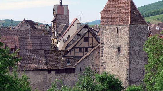 Khám phá trái tim của Alsace ở Riquewihr.