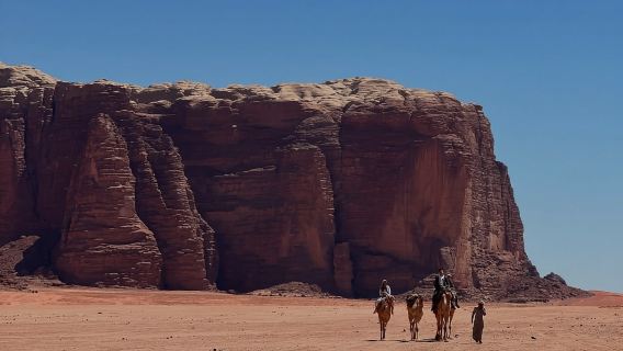 Wadi Rum: Half Day Jeep Tour -