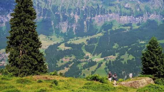 Caminata por Lauterbrunnen-Mürren con visita a las cascadas de Trümmelbach