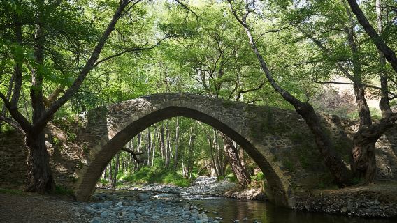 Dari Paphos: Tur Pesona Tersembunyi Pegunungan Troodos