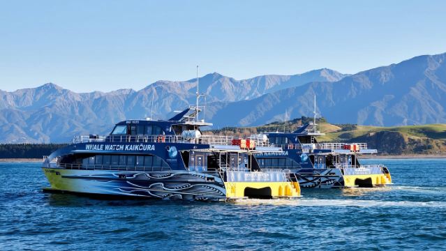 Kaikoura: Crucero de avistamiento de ballenas