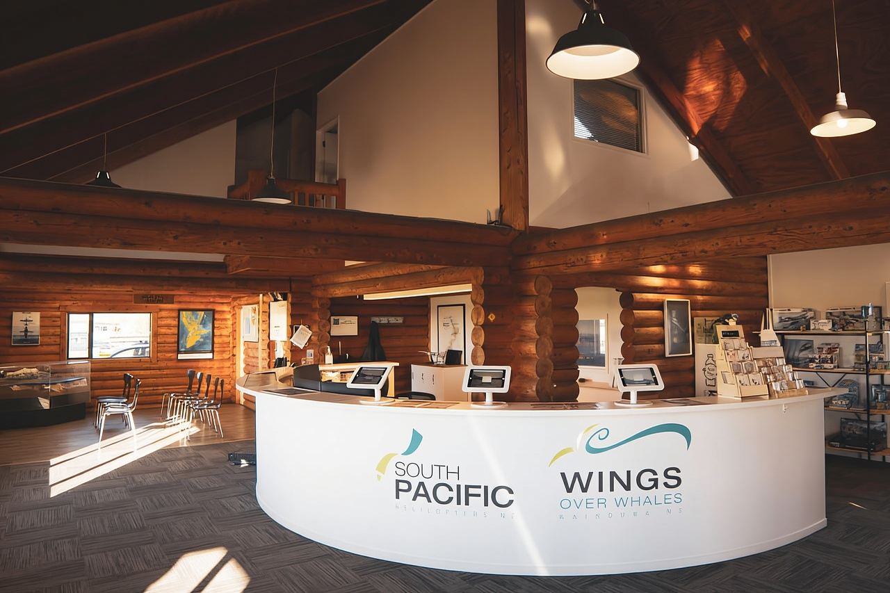 Kaikoura: Whale Watching Flight with Guided Commentary