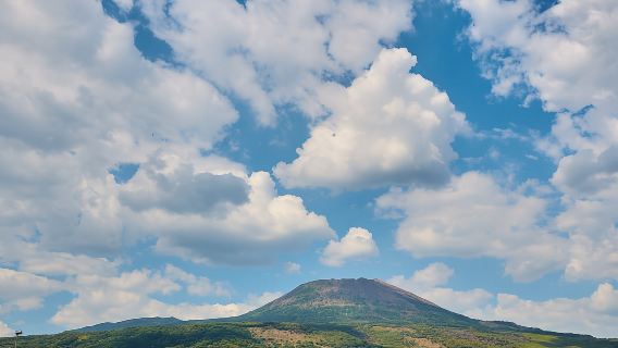 Tour del Vesuvio con biglietto d'ingresso d'ingresso incluso
