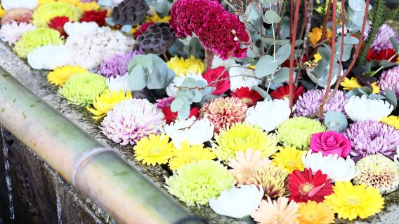 Kyoto: Cobalah Tenun Nishijin di Distrik Geisha Tertua