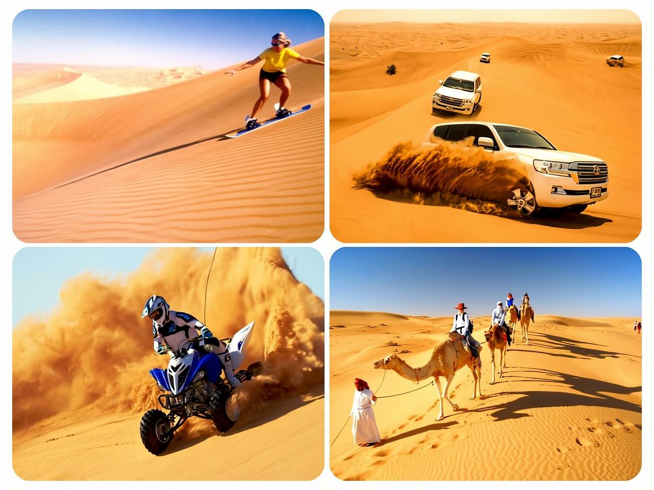 Doha: Transit Desert Safari , CamelRide, Sandboarding