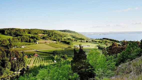 Jönköping: เช่าจักรยานพร้อมหมวกกันน็อคและล็อค