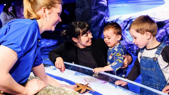 London: SEA LIFE-Eintrittskarte