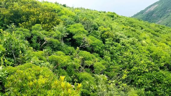 Côn Đảo: Hành trình qua Sở Rẫy – Kỳ quan thiên nhiên