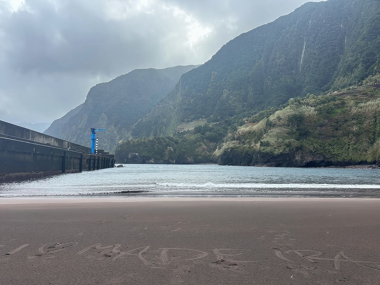 Madeira: Western Madeira Guided Trip & Fanal Mystic Forest