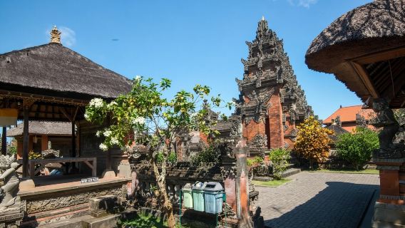 Excursión de un día al Palacio Real de Ubud, Mercado de Ubud, columpios virales y Cueva del Elefante en Bali