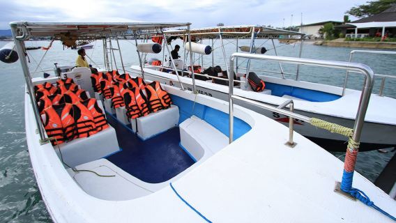 Tour VIP di un giorno alle isole di Langkawi: Isola Wet Rice, Isola del Leone Gigante, Isola della Donna Incinta e Isola di Cristallo