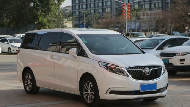 Khidmat angkut lapangan terbang Lapangan Terbang Antarabangsa Dubai/bandar/lapangan terbang menegak dengan pemandu berbahasa Cina