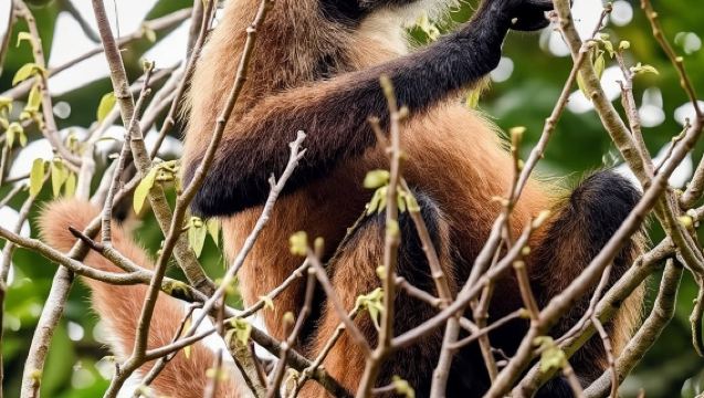 Tortuguero: Kayak Tour through the Natural Canals