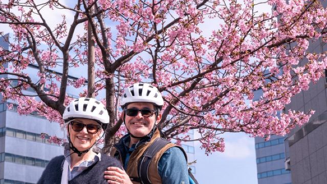 Tur Sepeda Listrik Pribadi Tokyo 3 Jam Dimulai dari Hotel Anda