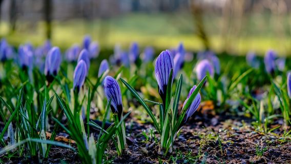 Glasgow Landausflug: Loch Lomond - Stirling Castle