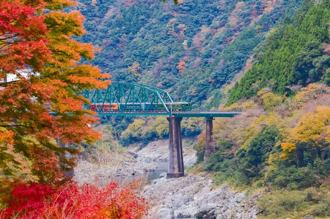Expert JR Pass Travel Hacks for Canadian Visitors