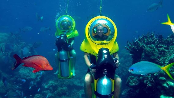 Scuba Doo Diving Experience in Punta Cana