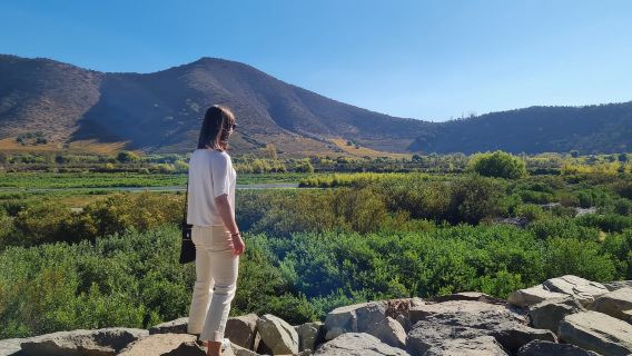 Chile Santiago departure: Maipo Valley wine tour (including 4 vineyards)