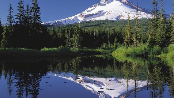 Columbia River Gorge Waterfalls & Mt Hood Tour from Portland, OR
