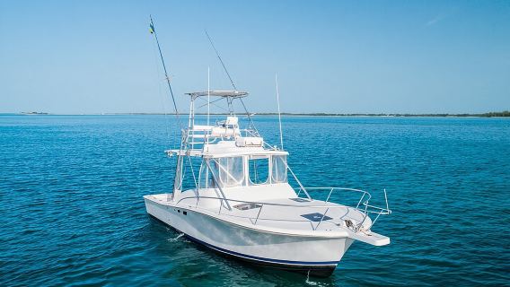 Tour privato in barca per visitare le isole e vedere le tartarughe