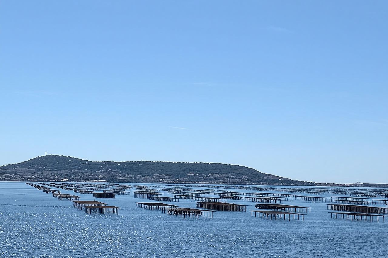 Private tour to Sete, an oyster farm & Wine Tasting