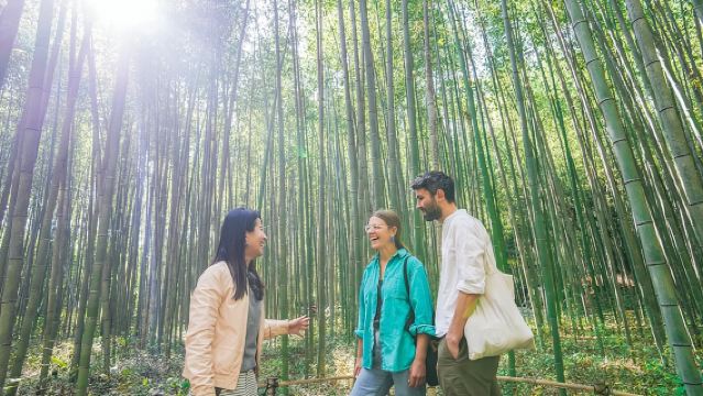Пешеходная экскурсия по бамбуковому лесу и скрытому саду Арасияма в Киото.
