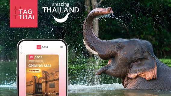 Chiang Mai Premium Pass - Risparmia fino al 57% - Include Zipline
