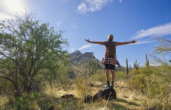 斯科茨代爾沙漠經典導覽健行探險