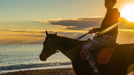 Passeggiata a cavallo ad Antalya sulla spiaggia e attraverso le foreste per 2 ore
