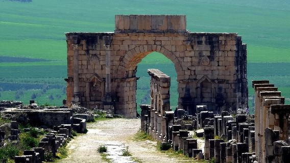 Escursione privata di un giorno da Fes a Volubilis, Moulay Idriss e Meknes