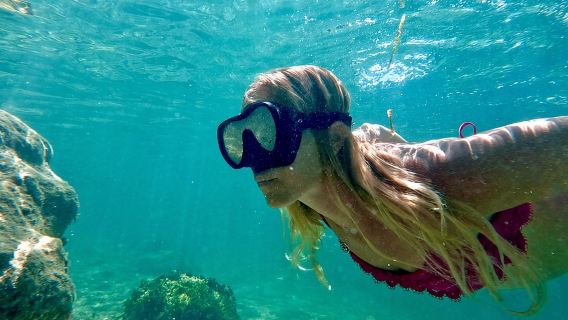 Guided Snorkel Experience, Free Videos in West Palm Beach